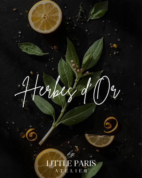 Lumânare parfumată Herbes d'Or - Salvie • Petitgrain • Lamaie