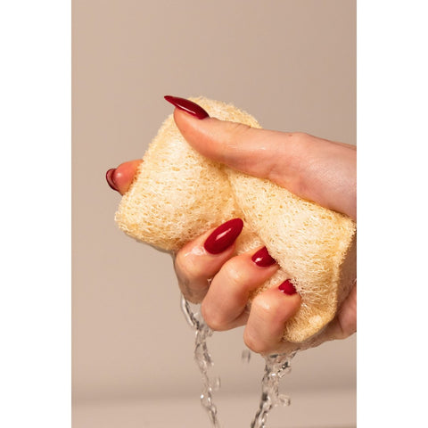 Burete pentru vase din celuloză și fibre de sisal, 100% natural (set 2 buc.)